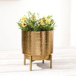 BEHOMA Hammered Metal Indoor Planter for Table Top and Floor | Living Room Drawing Room Balcony Office | Decoration Ideas for Plants| Size Small Golden Colour (Plants not Included)