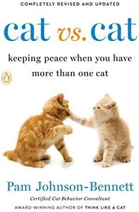 Cat vs. Cat: Keeping Peace When You Have More Than One Cat