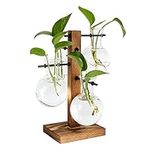 PAG Plant Terrariums Kit Desktop Hy