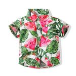 Koijhnb Baby Boys Hawaiian Shirts Novelty Printed Funky Short Sleeve Button Down Shirt Toddler Aloha Luau Shirt 2-5T(Green,18-24M)