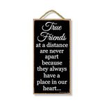 Honey Dew Gifts Friends Decor, True Friends at a Distance are Never Apart - 5 x 10 inch Hanging Sign, Wall Art, Home Decor