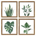 ArtbyHannah Framed Bathroom Wall Art Set of 4 for Botanical Wall Decor Green Plant Picture Frame Collage Set for Home Kitchen Living Room Bedroom Decoration (Walnut, 10x10)