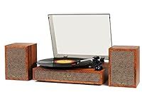 Vinyl Record Player with External S