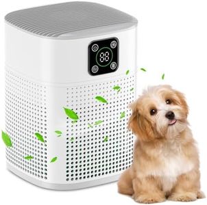 Air Purifiers For Bedroom Honeyuan H13 HEPA