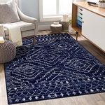 Wonnitar Moroccan 5x7 Blue Rugs for