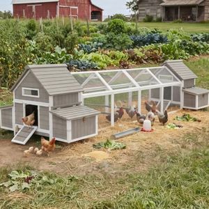 Large Chicken Coop with Run for 6-12 Chickens with 8 Nesting Boxes