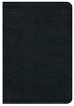 NRSV Premium Bible Bonded Leather Black: New Revised Standard Version, Black, Bonded Leather, Premium