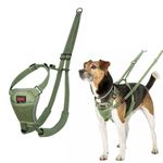 HALTI No Pull Harness - To Stop Your Dog Pulling on the Leash. Adjustable, Lightweight and Easy to Use. Reflective Dog Training Harness for Small Dogs (Size S, Forest Green)