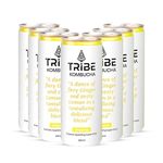 Tribe Kombucha | Weight Management - Detox - Antioxidant | Naturally Sparkling Probiotic Herbal Tea |Green Tea with Ginger & Lemon | Gut Friendly | Gluten free | Gingerade | Pack of 7 |250 ML