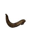 Express Pet Supplies Large Lamb Horn | 100% Natural Air-Dried Dog Treat Chew | Long Lasting large Dogs