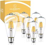 Vintage Edison LED Light Bulbs 6W (