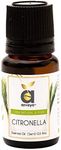 Anveya Citronella Essential Oil, 100% Natural, Pure & Undiluted, 15ml, Best For Hair & Skin, Diffuser & Refreshing Aroma