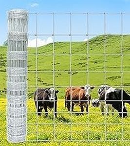 Livestock 