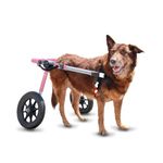 Walkin' Wheels Dog Wheelchair - for Large Dogs 70-180 Pounds - Veterinarian Approved - Dog Wheelchair for Back Legs