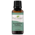 Plant Therapy Eucalyptus Radiata Essential Oil. 100% Pure, Undiluted, Therapeutic Grade. 30 ml (1 oz).