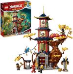 LEGO 71795 Temple of The Dragon Energy Cores - New.