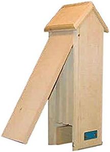 Bat Tower/Beacon