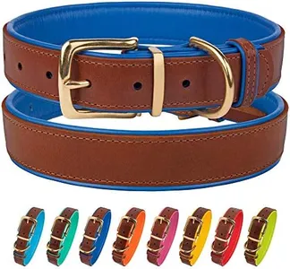 CollarDirect Leather Dog Collar Brass Buckle Soft Padded Puppy Small Medium Large Red Pink Blue Green Purple Yellow (Neck Fit 19"-21", Navy Blue)
