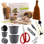 Bonsai Tree KIT - Grow Your OWN Bonsai Trees. Gift Set - Big Premium Quality KIT - Big Value Pack, Seed Germination Starter Kit with 6 Seed Species. Includes 7 Superior Bonsai Tools and 5 Bonsai pots