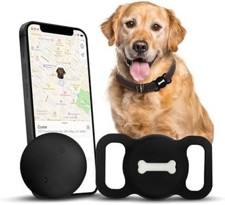 Smart Dog 