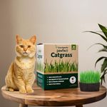 Gachwala Pawfect Cat Grass Growing Kit with Planter – 2 Plastic Grow Bags, 4 Coco Peat Discs & Wheatgrass Seeds | Ideal for Indoor Cats, Aids Digestion & Reduces Hairballs | Easy-to-Grow