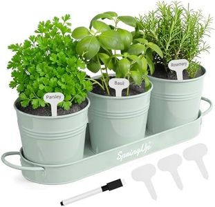 SpringUp 3 Pack Indoor Herb Garden Planter Set with Tray, Metal Farmhouse Windowsill Plant Pots with Drainage for Outdoor or Indoor Plants (Soft Mint)