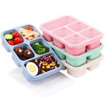 4 Pack Bento Lunch Box - BPA-Free Reusable Bento Box Kids Adult - 5-Compartment Meal Prep Container with Lids - Lunch Box for Kids, Toddler, Adults - Suitable for School, Company, and Travel