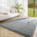 imsid Present carpet for Room, shaggy Rugs Fluffy Carpets, Indoor Modern Plush Area Rugs for Living Room Bedroom Kids Room, ETC Grey 2 x 6 FT