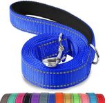 Joytale Padded Handle Dog Lead,Doub