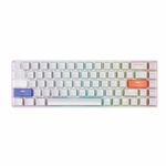 DrunkDeer G65 Rapid Trigger Mechanical Keyboard Magnetic Switch Gaming RGB Compact ABS Keycap OEM Profile 65% Size Wired USB 68Keys TKL White