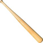 28 Inch Composite Softball Bat