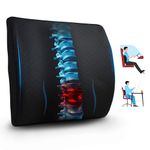 EcoNour Lumbar Support Pillow for Car and Office Chair – Improve Sitting Posture & Back Pain Relief, Memory Foam, Adjustable Straps Car Back Support, Lumbar Pillow Back Support for Office Chair & Car