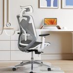 NXTGEN MISURAA Nylon Premium Imported Ergonomic High Back Office Chair For Work From Home With 1 Year Warranty (Grey)