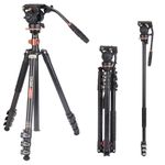 Professional Video Camera Tripod, Cayer AF2451 67 inches with Fluid Drag Head, 4-Section Compact Aluminimum DSLR Tripod Convertible to Monopod, Max Loading 132 LB for DSLR Camera, Video Camcorder