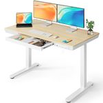 ErGear Electric Standing Desk, 120 x 60cm Height Adjustable Standing Desk with Drawer & 2 Charging Ports, 3 Memory Standing Up Desk for Home Office (Natural Top+White Frame)