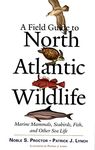 A Field Guide to North Atlantic Wildlife – Marine Mammals, Seabirds, Fish and Other Sealife