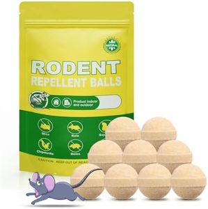 Rodents an
