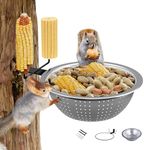 Karshall Tree Mounted Squirrel Feed