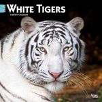 White Tige