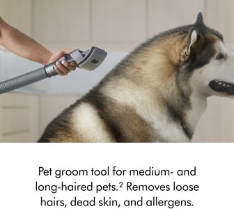 Dyson Ball Animal 3 Upright Vacuum – Powerful Pet Hair Removal