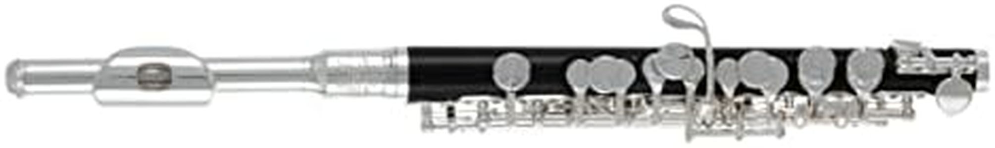 Roy Benson RBPC502 Advanced Piccolo