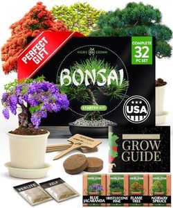 Bonsai Tree Kit, Grow Your Own: Premium 4 Bonsai Trees Starter Kit | Unique Japanese Gifts for Moms Who Have Everything, Women, Men | Gardening Plant Gift for Beginners & Gardeners, Crafts for Adults