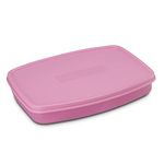 Nayasa Witty Mini Regular Lunch Box- Pack of 3, Kids Lunch Boxes with Airtight Lids, Small Partition, Light Weighted, Easy to Carry, Safe for Kids, Ideal for School Going Kids and Adults, Pink