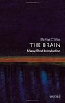 The Brain: A Very Short Introduction (Very Short Introductions)