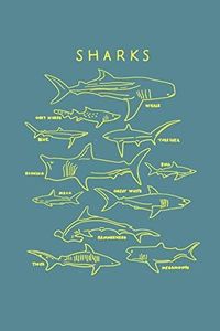 Sharks: Sh