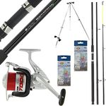 Beach Fishing Rods