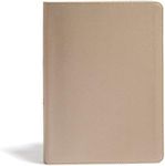 CSB She Reads Truth Bible, Champagne Gold LeatherTouch, Indexed