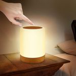 Aoliontoy Bedside Lamp, Touch Control Night Light with 1-3 Hour Timer, RGB Colors Changing and 5 Levels Adjustable Brightness, Rechargeable Light for Camping, Bedroom, Christmas, Kids Nursery.