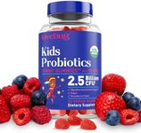 Lovebug Award Winning USDA Organic Probiotic Gummies for Kids | Soil-Based Probiotic | Vegan | Ages 3+ | Natural Fruit Strawberry Flavor | 30 Gummies