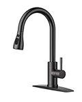 FORIOUS Kitchen Faucet with Pull Do